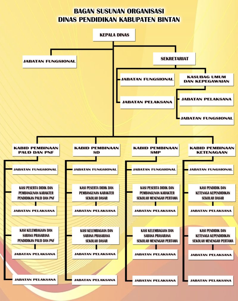 Struktur Organisasi - Dinas Pendidikan Kabupaten Bintan